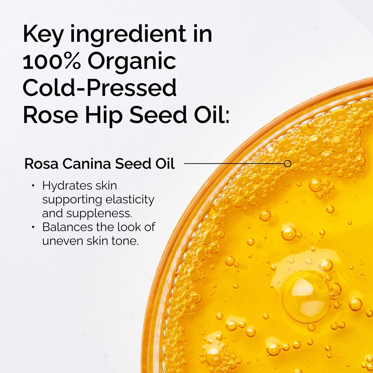 100-organic-cold-pressed-rose-hip-seed-oil-s1 FY25-D41247-ORD-Web-PDP-100-Rose-Hip-Oil-1x1-EN-2.jpg