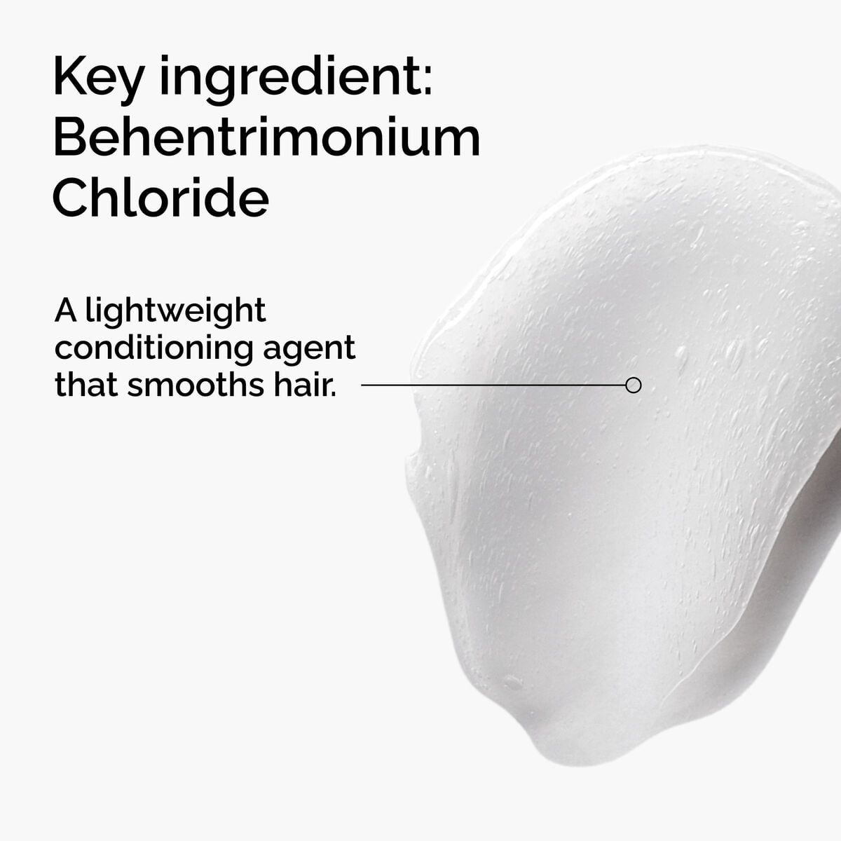 behentrimonium-chloride-2-conditioner-q3 FY25-D41247-ORD-Web-PDP-BTC-1x1-EN-2a.jpg