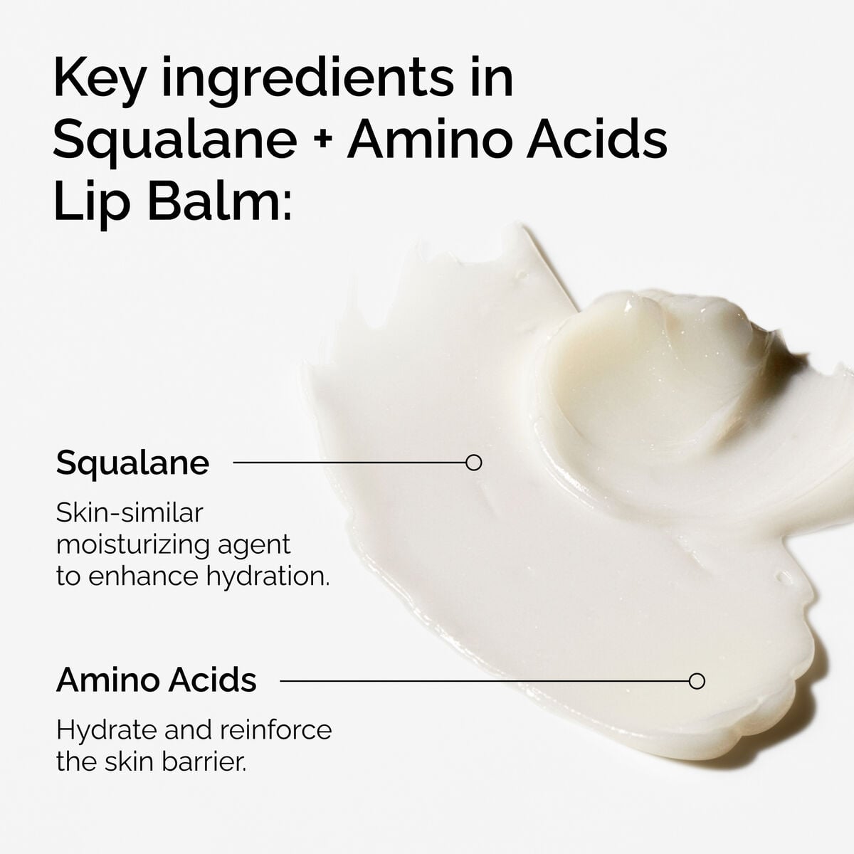 squalane-amino-acids-lip-balm-a8 FY25-D41247-ORD-Web-PDP-Sql-Amino-Lip-1x1-EN-2a.jpg