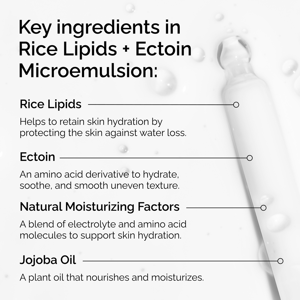 rice-lipids-ectoin-microemulsion-d9 ord-rice-lipids-ectoin-microemulsion-key-ingredients.png
