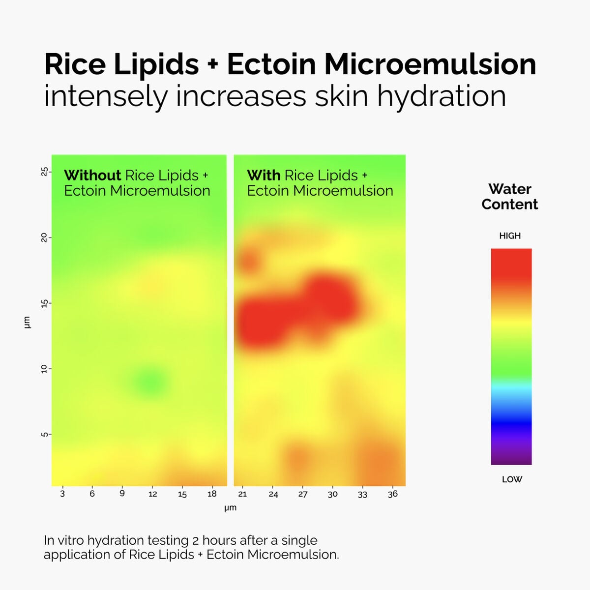 rice-lipids-ectoin-microemulsion-d9 ord-rice-lipids-ectoin-microemulsion-thermal-before-after.jpg